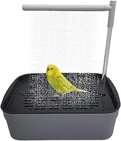 Las mejores bañeras para aves según su especie: ¿Cuál elegir?