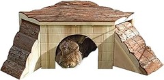 Las mejores casitas para roedores según la especie