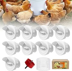 Los mejores comederos para aves que resisten el invierno