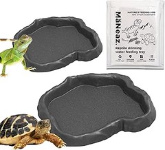 ¿Cuáles son los comederos más recomendados para iguanas?