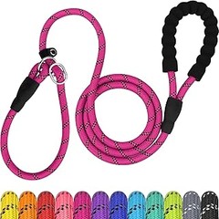 Las mejores correas de adiestramiento para perros pequeños