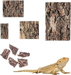 Comparativa de los mejores fondos decorativos para terrarios pequeños