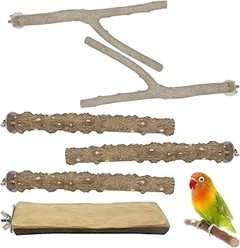 Juguetes que fomentan la socialización de periquitos y agapornis