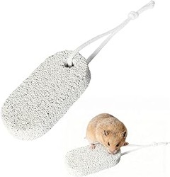 ¿Dónde comprar juguetes para roedores a buen precio?