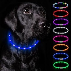 Encuentra las mejores ofertas en luces LED para collares de perros