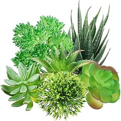Cómo Elegir las Mejores Plantas Artificiales para Terrarios