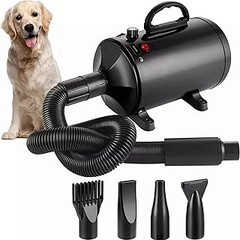 Los mejores secadores para perros según opiniones de usuarios