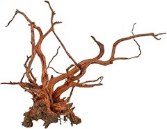 Dónde comprar troncos y ramas decorativas para terrarios