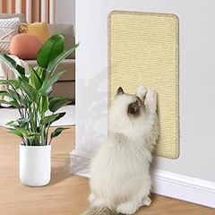 Guía para elegir la mejor ubicación de un rascador de pared para gatos