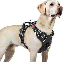 Reseñas y opiniones de arneses antitirones para perros