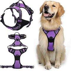 Opiniones de usuarios sobre los arneses más populares para perros
