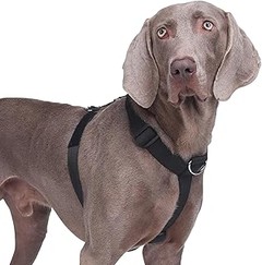 ¿Cuánto cuesta un arnés antitirones para perros?