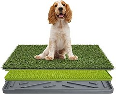 Precios de kits de adiestramiento de cachorros y dónde comprarlos