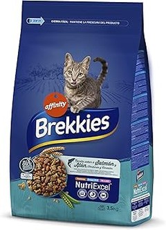 Problemas comunes al introducir pienso de salmón en gatos