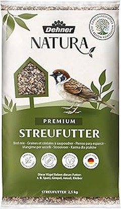 Errores frecuentes al alimentar aves pequeñas con semillas