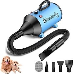 Problemas Frecuentes al Utilizar Secadores para Perros