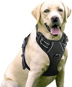 Problemas Frecuentes al Usar Arnés para Perros y Cómo Solucionarlos