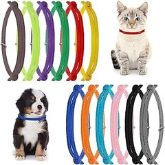 Problemas frecuentes con collares identificativos para perros