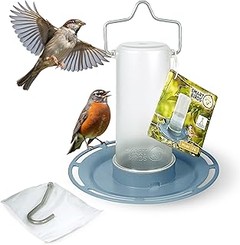 Soluciona los problemas más comunes de comederos y bebederos para aves
