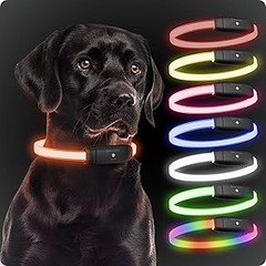 Problemas Frecuentes con las Luces LED en Collares para Perros