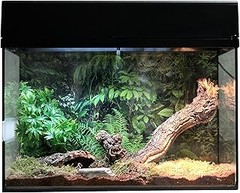 Elementos Esenciales de un Kit de Inicio para Terrarios de Reptiles