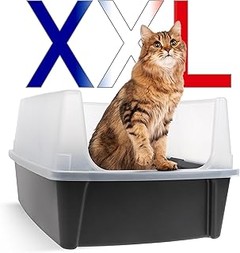 Definición y características de un arenero abierto para gatos