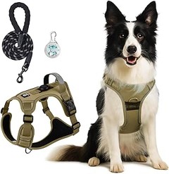 Arneses para perros