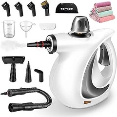 Todo sobre las Vaporetas: Funcionamiento y Beneficios para Propietarios de Mascotas