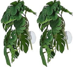 Descubre qué son las plantas artificiales para terrarios
