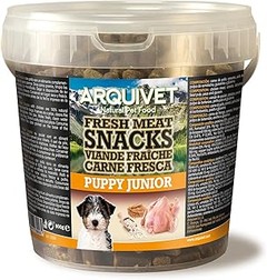 Snacks para Cachorros con Problemas Digestivos: Guía de Opciones