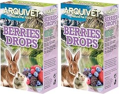 Snacks para roedores: elige los mejores para ratas, hámsters y conejos