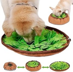 ¿Los juegos de olfato son aptos para todos los perros?