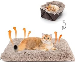 ¿Por qué es importante tener una cama para gatos?