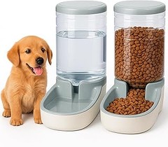 Bebederos para perros: ¿realmente son necesarios?