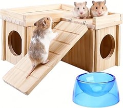 ¿Deberías comprar un kit de inicio para tu hámster?