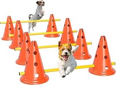 ** Experiencias de Dueños sobre el Uso de Conos en Agility con Perros