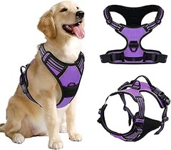 Conoce los diferentes tipos de arneses para perros y sus características