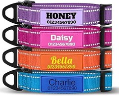 Descubre los diferentes tipos de collares identificativos para perros