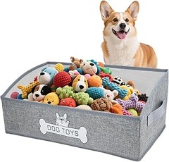 Cómo Organizar los Accesorios de tu Perro de Manera Efectiva