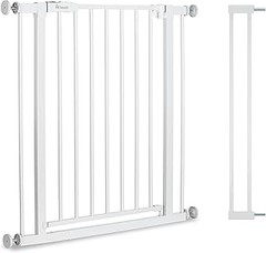 Seguridad en casa y exterior para mascotas