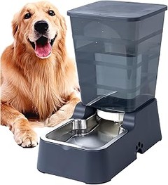 ¿Por qué elegir un bebederos automático para tu perro?