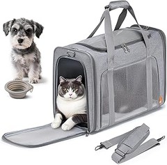 Beneficios de Usar Transportines Homologados al Volar con Gatos