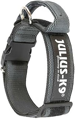 Beneficios de los collares con GPS para la seguridad de tu perro
