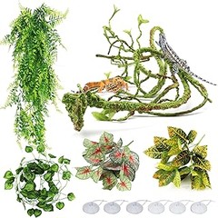 Beneficios de Elegir Plantas Artificiales para Terrarios