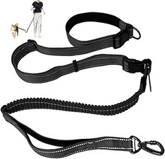 Pros y contras de usar chalecos para correr con tu perro