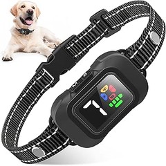 Ventajas y desventajas de los collares de adiestramiento sin tirones para perros