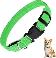 Pros y contras de usar collares reflectantes en perros