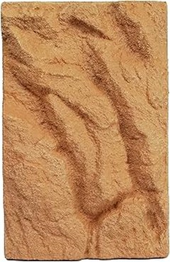 Ventajas y Desventajas de Usar Fondos Decorativos en Terrarios