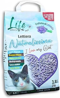 Pros y Contras de Utilizar Arena Económica para Gatos