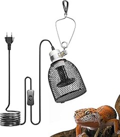 Pros y contras de usar lámparas de calor para reptiles